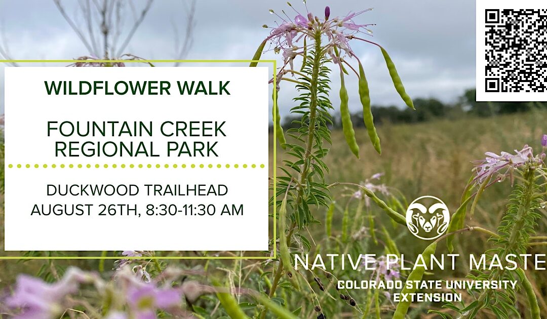 Colorado Native Plant Master Wildflower Walk: Fountain Creek